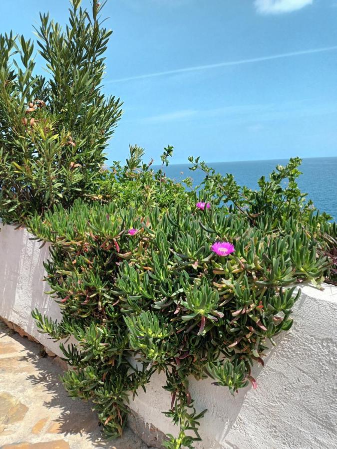 Mirabello Sea House Ajos Nikolaos Zewnętrze zdjęcie