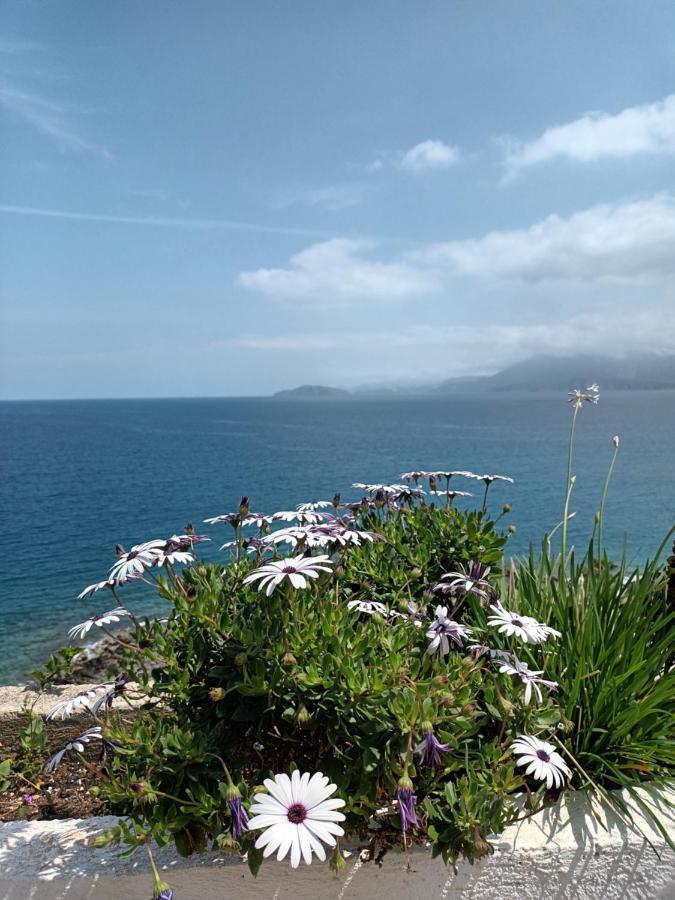 Mirabello Sea House Ajos Nikolaos Zewnętrze zdjęcie